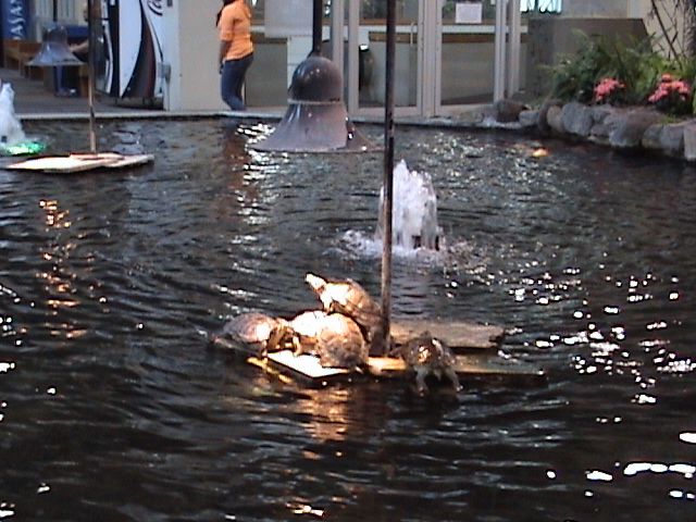 devgarden3.jpg