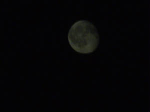 themoonjohnjuly20.jpg